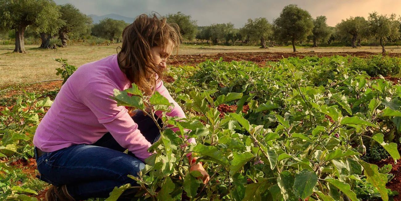 Πρωτοβουλία για τη βιώσιμη γεωργία σε Κρήτη και Ρόδο από την Tui